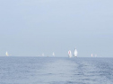 IMG_0125ac.jpg