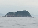 DSC_3700ac.jpg