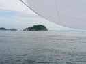 DSC_3704ac.jpg
