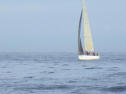 RIMG0097ac.jpg