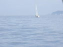 RIMG0098ac.jpg