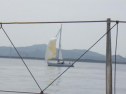 RIMG0113ac.jpg