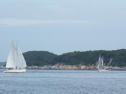 RIMG0116ac.jpg