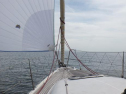 RIMG0118ac.jpg