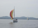 RIMG0127ac.jpg