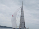 RIMG0134ac.jpg