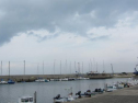 AIMG_4909.jpg