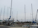 AIMG_4937.jpg