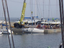 RIMG0743.jpg