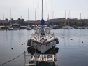 RIMG0756.jpg