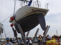 RIMG0764.jpg