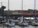 RIMG0765.jpg