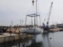 RIMG0784.jpg