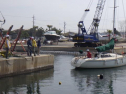 RIMG0785.jpg