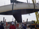 RIMG0791.jpg