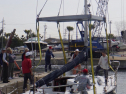 RIMG0794.jpg