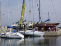RIMG0816.jpg