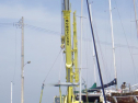 RIMG0817.jpg
