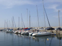 RIMG0823.jpg