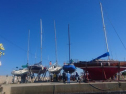 DSC_0774.jpg