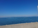 DSC_0793.jpg