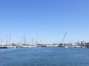 RIMG0921.jpg