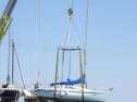 RIMG0939.jpg