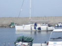 RIMG0745.jpg