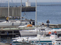RIMG0759.jpg