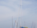 RIMG0831.jpg