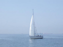 RIMG0835.jpg