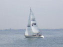 RIMG0836.jpg