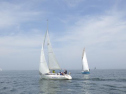 RIMG0842.jpg