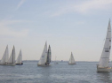 RIMG0853.jpg
