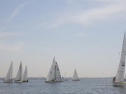 RIMG0854.jpg