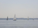 RIMG0855.jpg