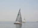 RIMG0860.jpg