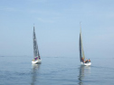 RIMG0862.jpg