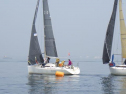 RIMG0864.jpg