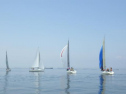 RIMG0866.jpg