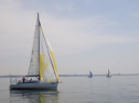 RIMG0868.jpg