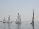 RIMG0873.jpg