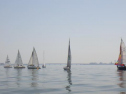 RIMG0874.jpg