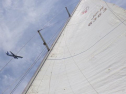 RIMG0876.jpg