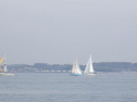 RIMG0882.jpg
