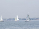 RIMG0883.jpg