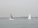 RIMG0885.jpg