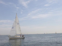 RIMG0891.jpg