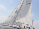 RIMG0893.jpg
