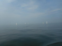 DSCN4173.jpg